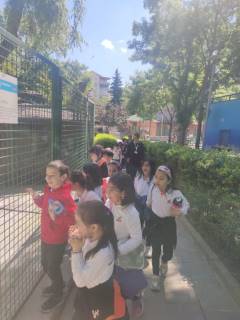 Evrensel Kolej